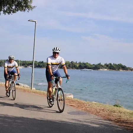 Affittacamere Badi Lovrečica