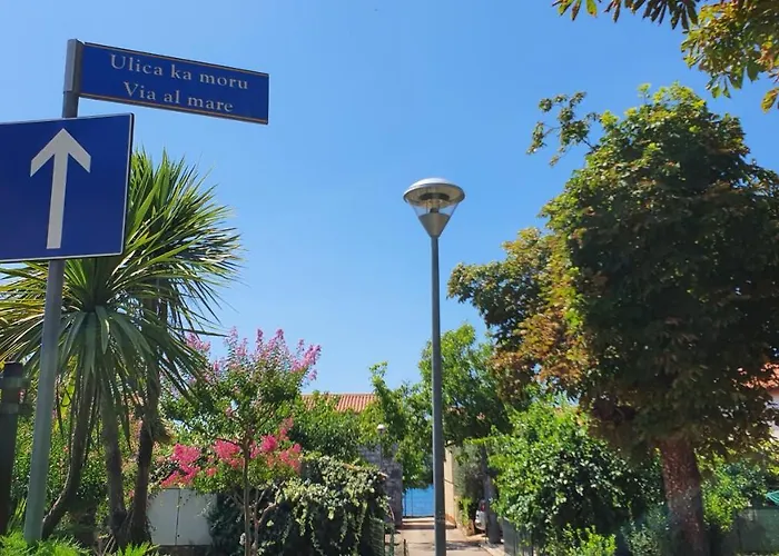 게스트하우스 Badi Lovrečica