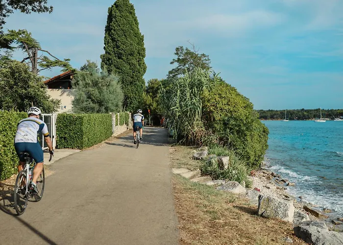 게스트하우스 Badi Lovrečica