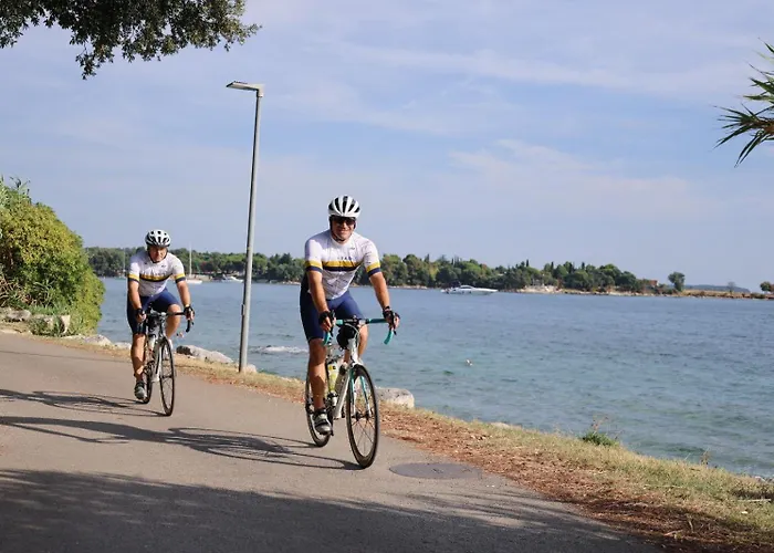 בית הארחה Badi Lovrečica